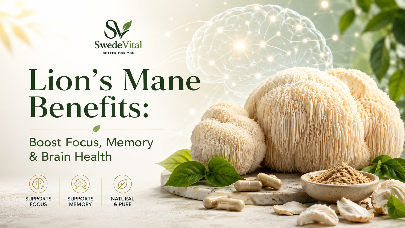 Lion’s Mane Benefits: Boost Focus, Memory & Brain Health