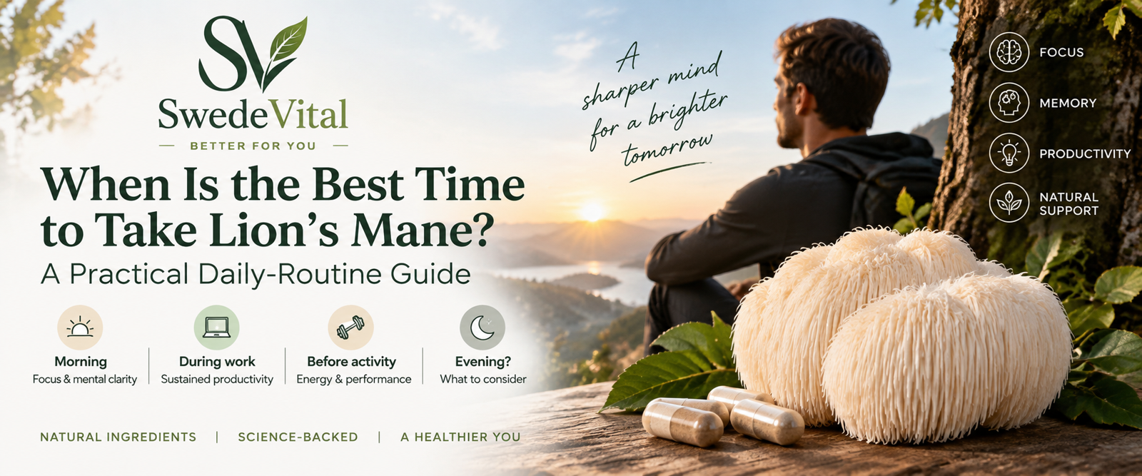 When Is the Best Time to Take Lion's Mane? A Practical Daily-Routine Guide
