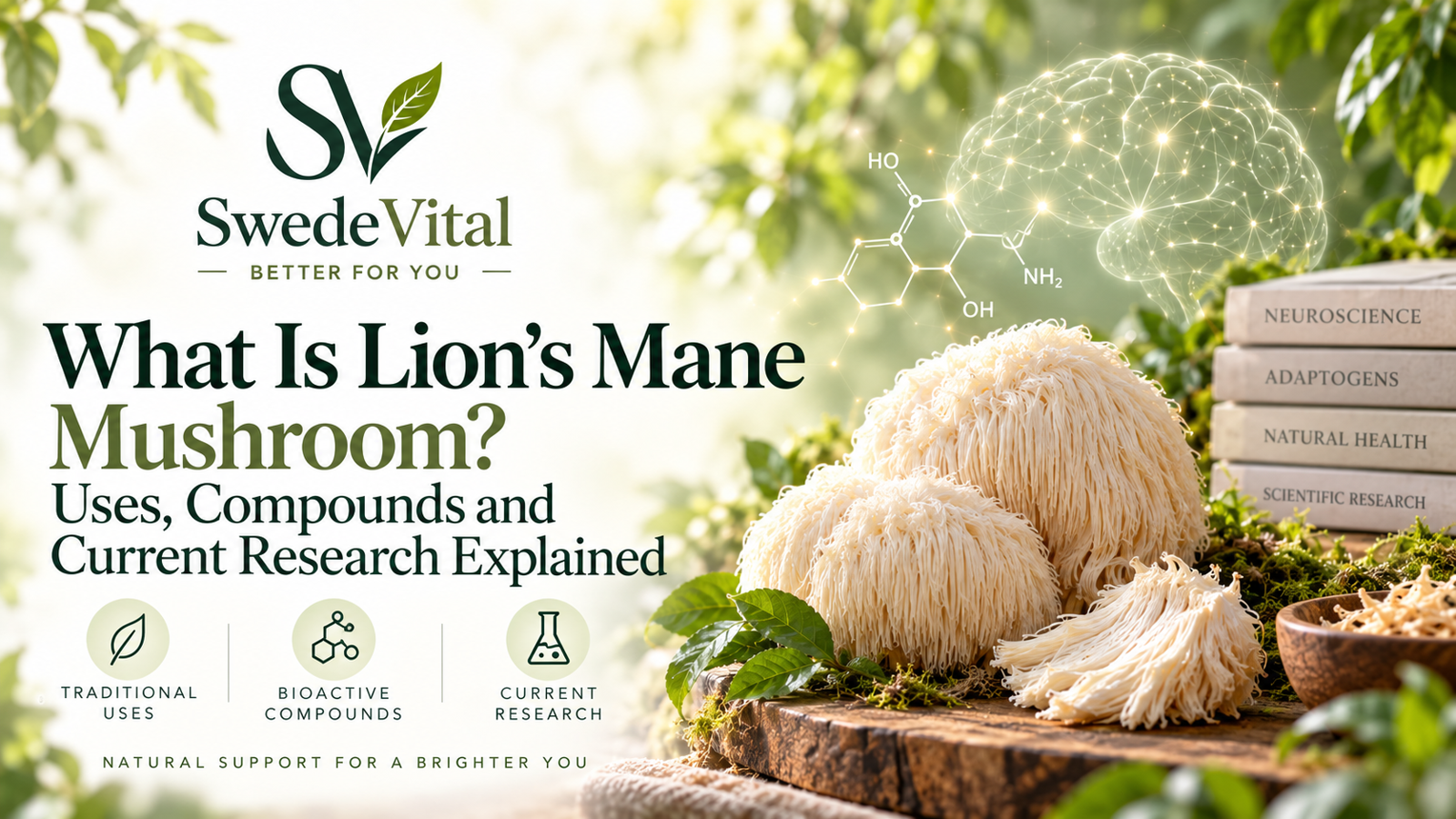 What Is Lion's Mane Mushroom? Uses, Compounds and Current Research Explained