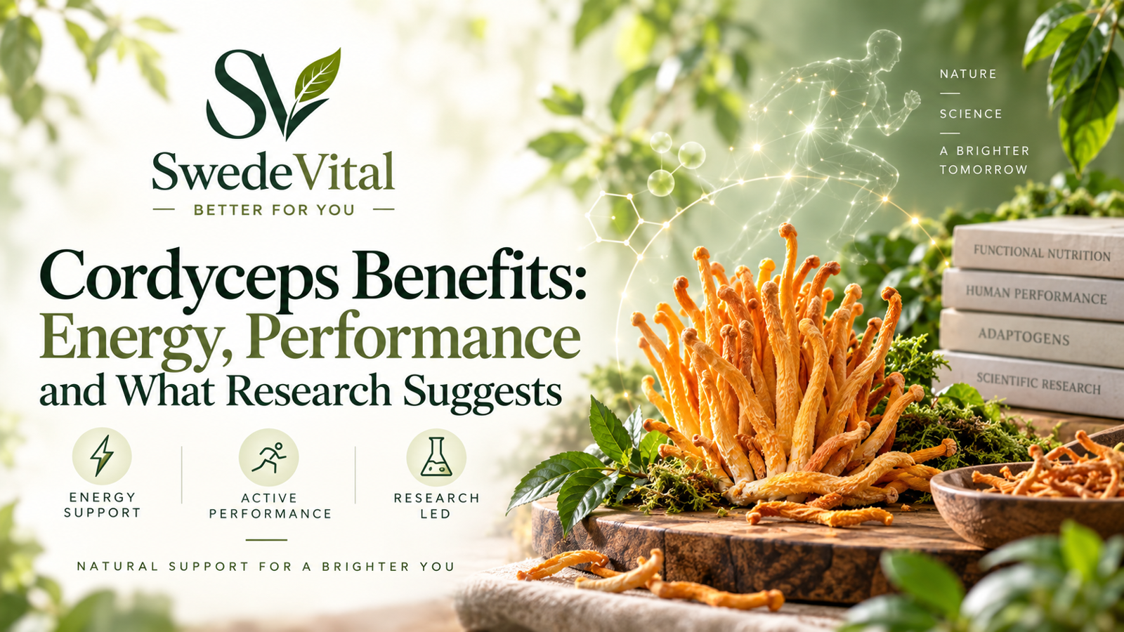 Cordyceps for Energy and Performance: What Does Research Say?