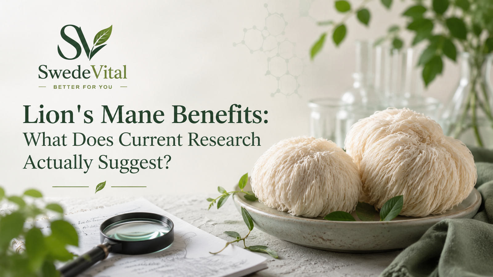 Lion's Mane Benefits: What Does Current Research Actually Suggest?