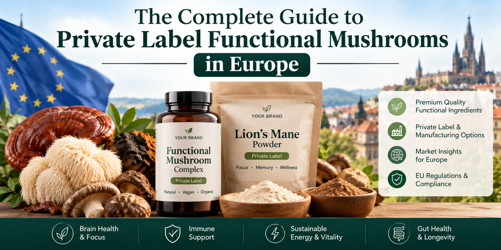 The Complete Guide to Private Label Functional Mushrooms in Europe
