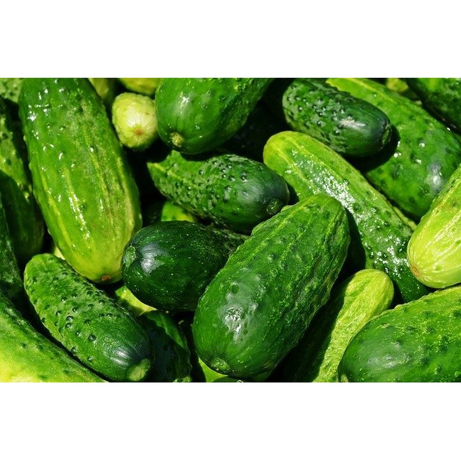 Wålstedts Västeråsgurka